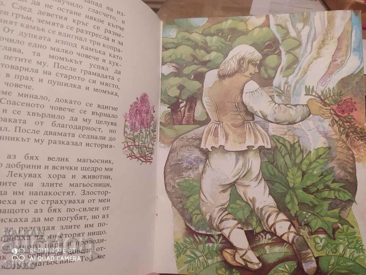 Licitație Înțeleptul consilier din buzunar, pr. R. Creutzwald Licitație Înțeleptul consilier din buzunar, pr. R. Creutzwald