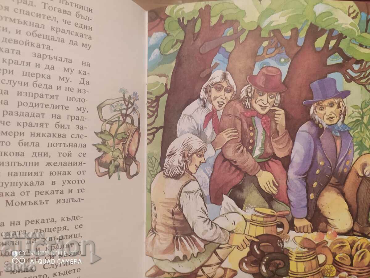 Delivery of The Wise Counselor in the Pocket, Fr. R. Creutzwald Delivery of The Wise Counselor in the Pocket, Fr. R. Creutzwald