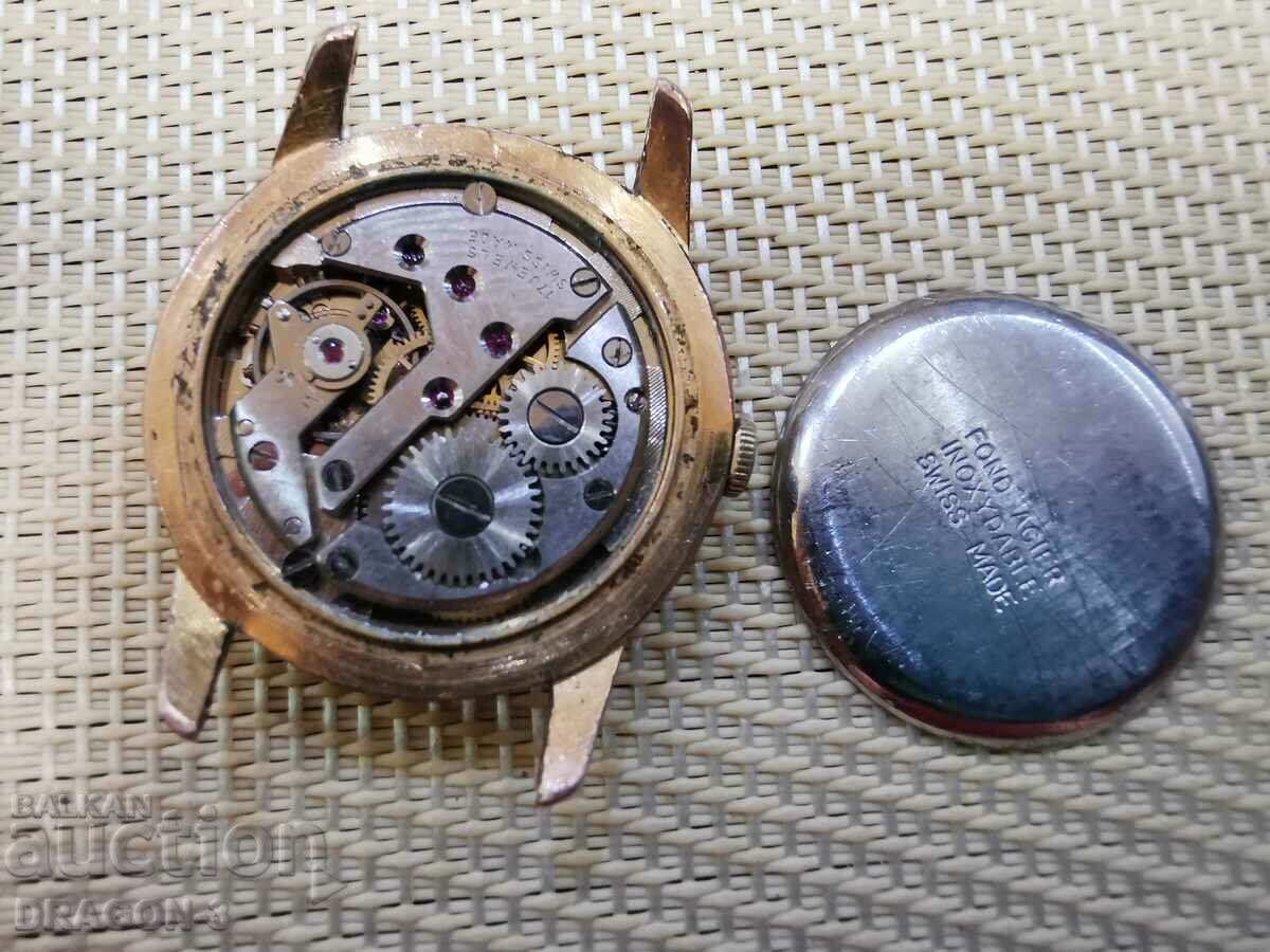 Delivery of GOLDEN ROYCA EXTRA Delivery of GOLDEN ROYCA EXTRA