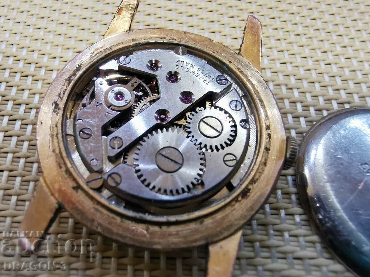 GOLDEN ROYCA EXTRA - 5 GOLDEN ROYCA EXTRA - 5