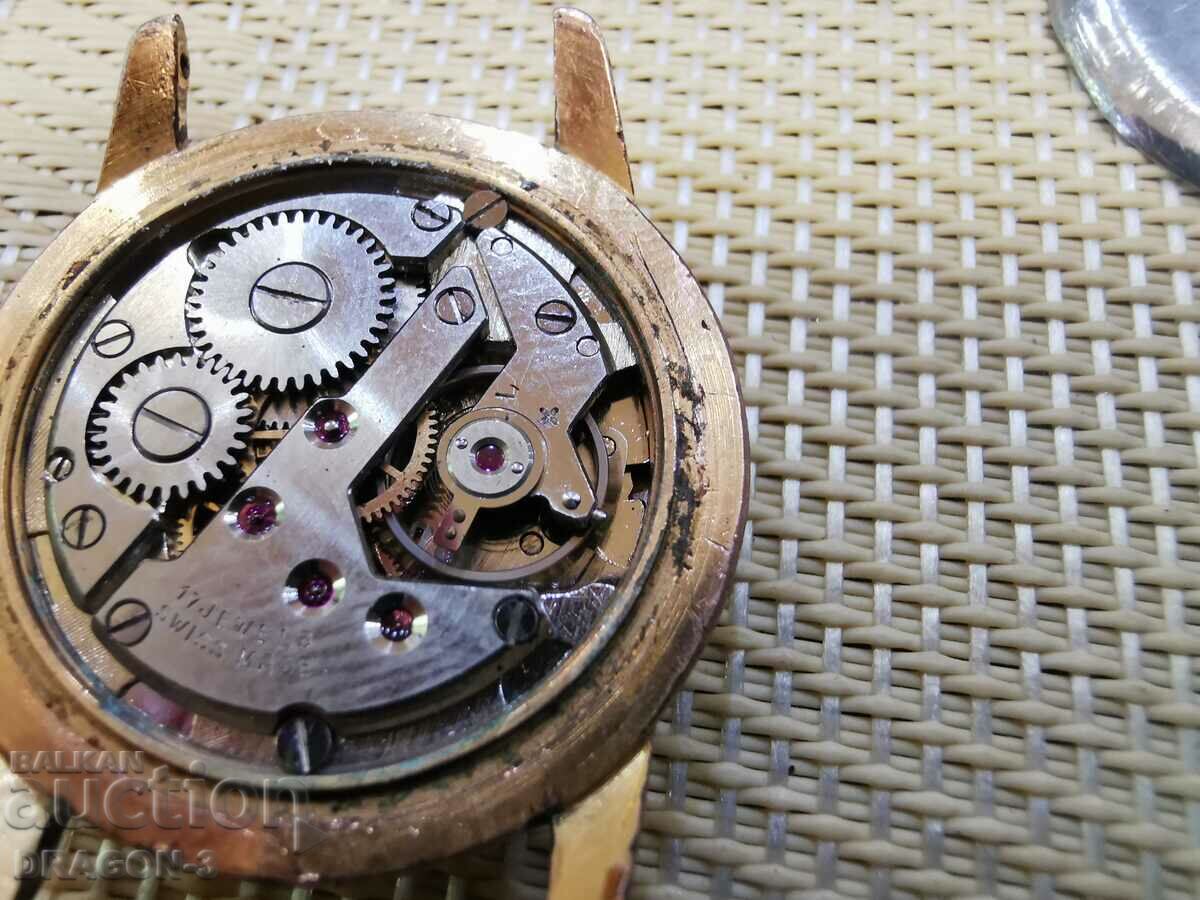 GOLDEN ROYCA EXTRA - 6 GOLDEN ROYCA EXTRA - 6