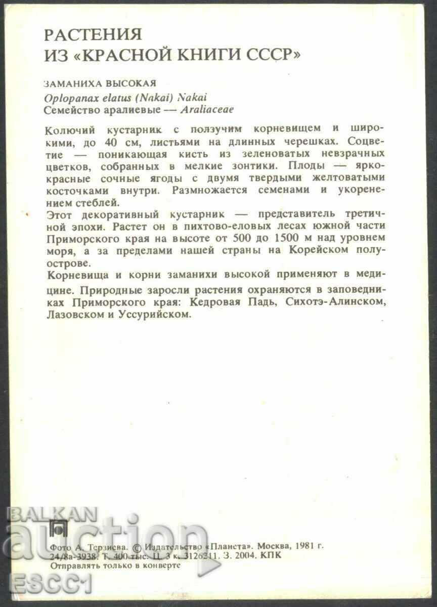 Card Flora Visoka Zamanikha (High) 1981 from the USSR with price 1.50 BGN | € 0.77 Card Flora Visoka Zamanikha (High) 1981 from the USSR with price 1.50 BGN | € 0.77