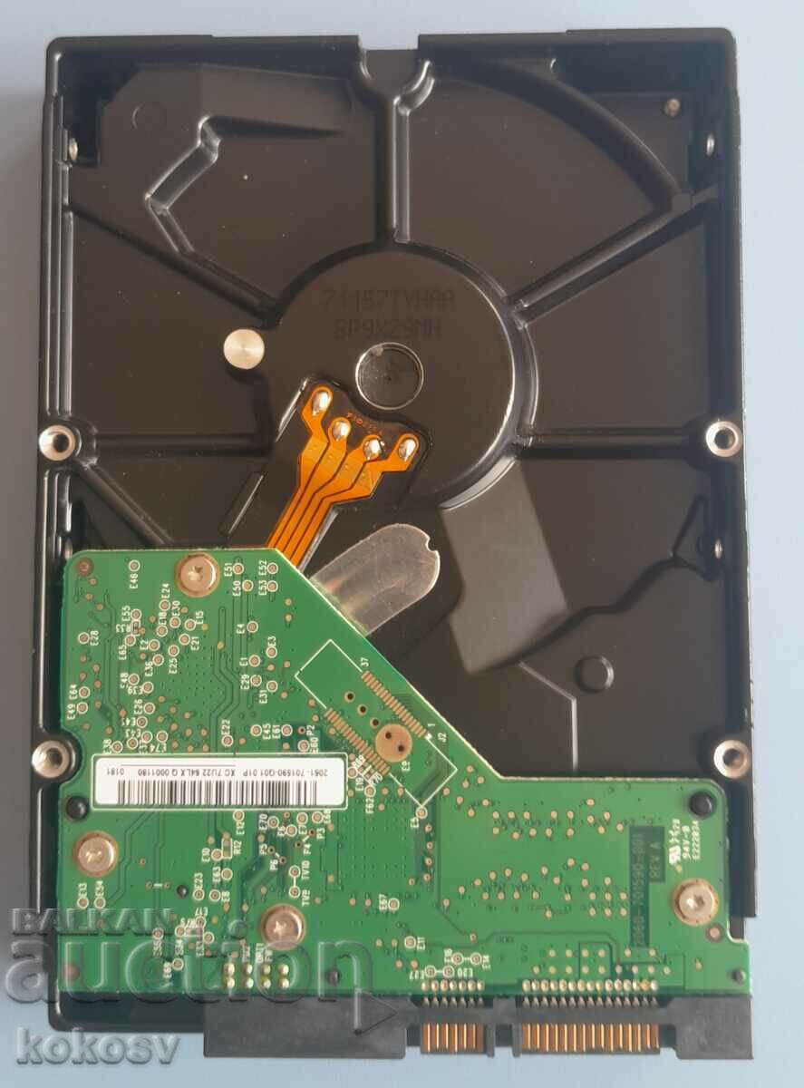 Hard disk HDD WD WD1600AVVS 160GB cu preț 20.00 BGN | € 10.23