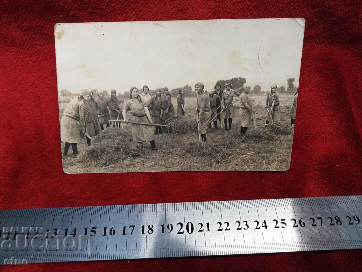 1928 ΒΑΣΙΛΙΚΗ ΦΩΤΟΓΡΑΦΙΑ - ΣΥΓΚΟΜΙΔΗ, ΓΕΩΡΓΙΑ με τιμή 15.00 BGN | € 7.67 1928 ΒΑΣΙΛΙΚΗ ΦΩΤΟΓΡΑΦΙΑ - ΣΥΓΚΟΜΙΔΗ, ΓΕΩΡΓΙΑ με τιμή 15.00 BGN | € 7.67