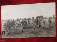 1928 ROYAL PHOTO - HARVEST, AGRICULTURE