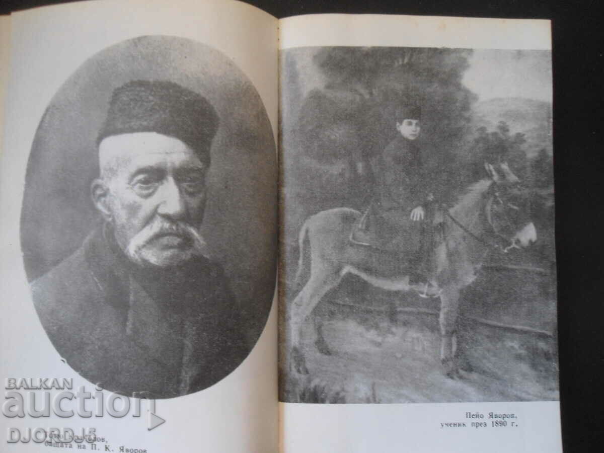 Auction Yavorov's novel Auction Yavorov's novel