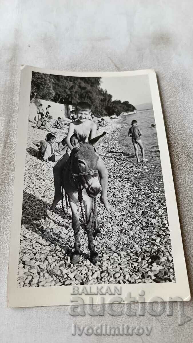 Φωτογραφία Αγόρι σε έναν γάιδαρο στην παραλία
