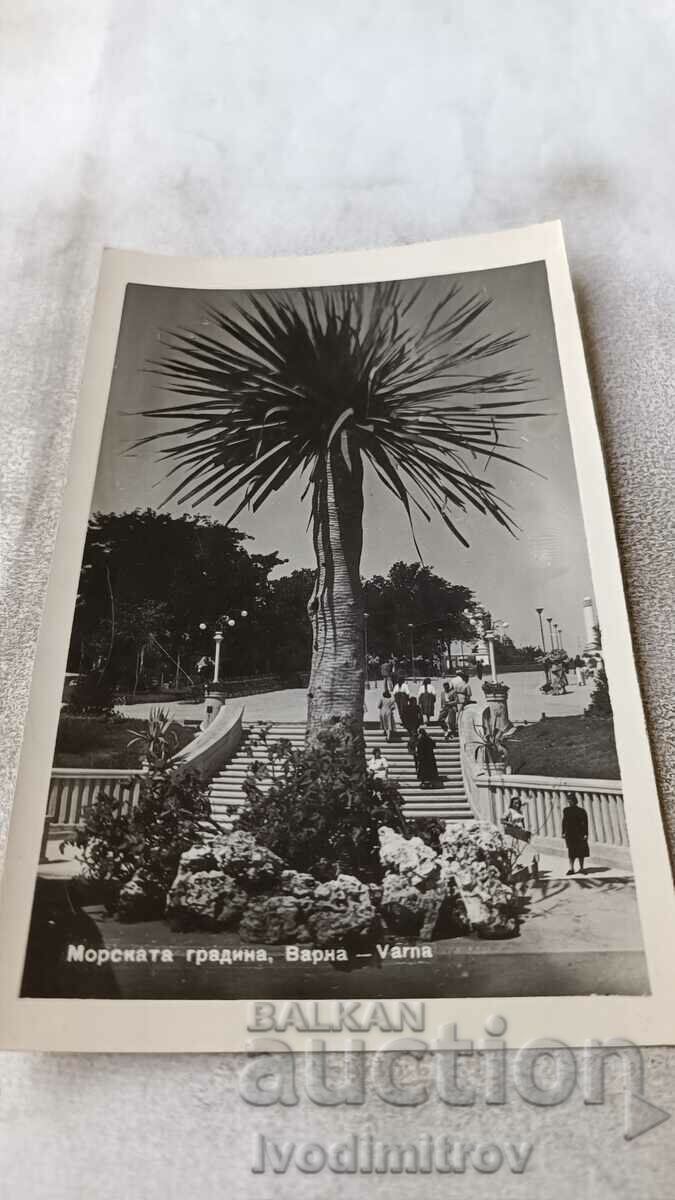 Carte poștală Varna Sea Garden 1943