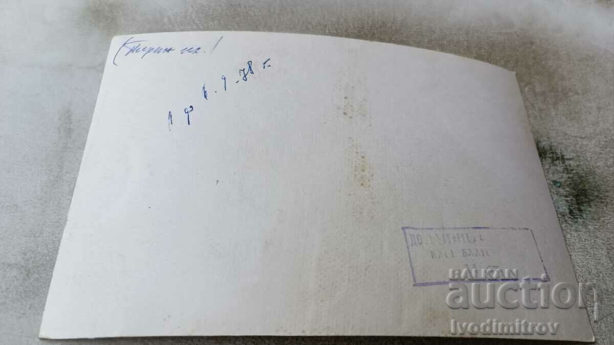 Postcard Pirin Collage 1978 with price 1.45 BGN | € 0.74 Postcard Pirin Collage 1978 with price 1.45 BGN | € 0.74