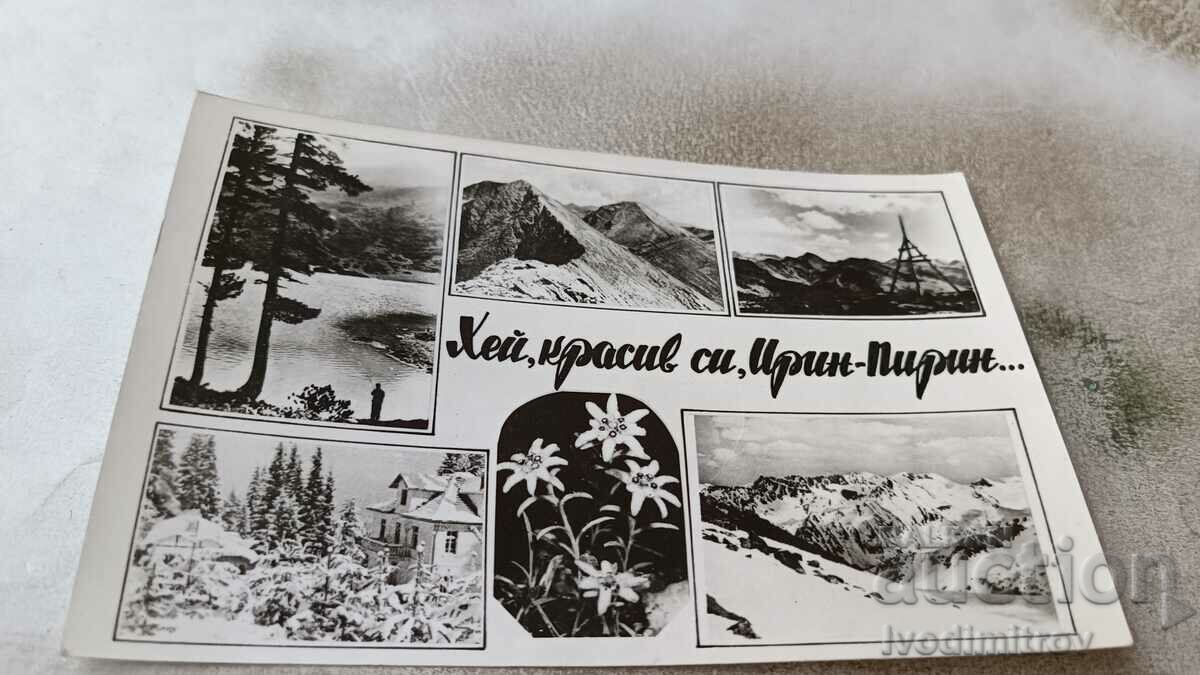 Postcard Hey, you're beautiful, Irin-Pirin 1984