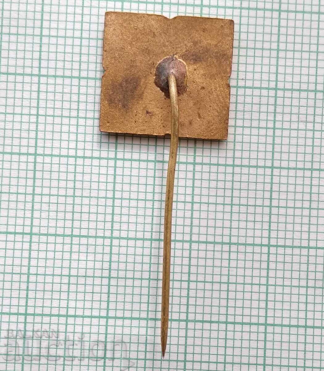 Licitație 13534 Insigna - Agentia de Turism Pirin Licitație 13534 Insigna - Agentia de Turism Pirin