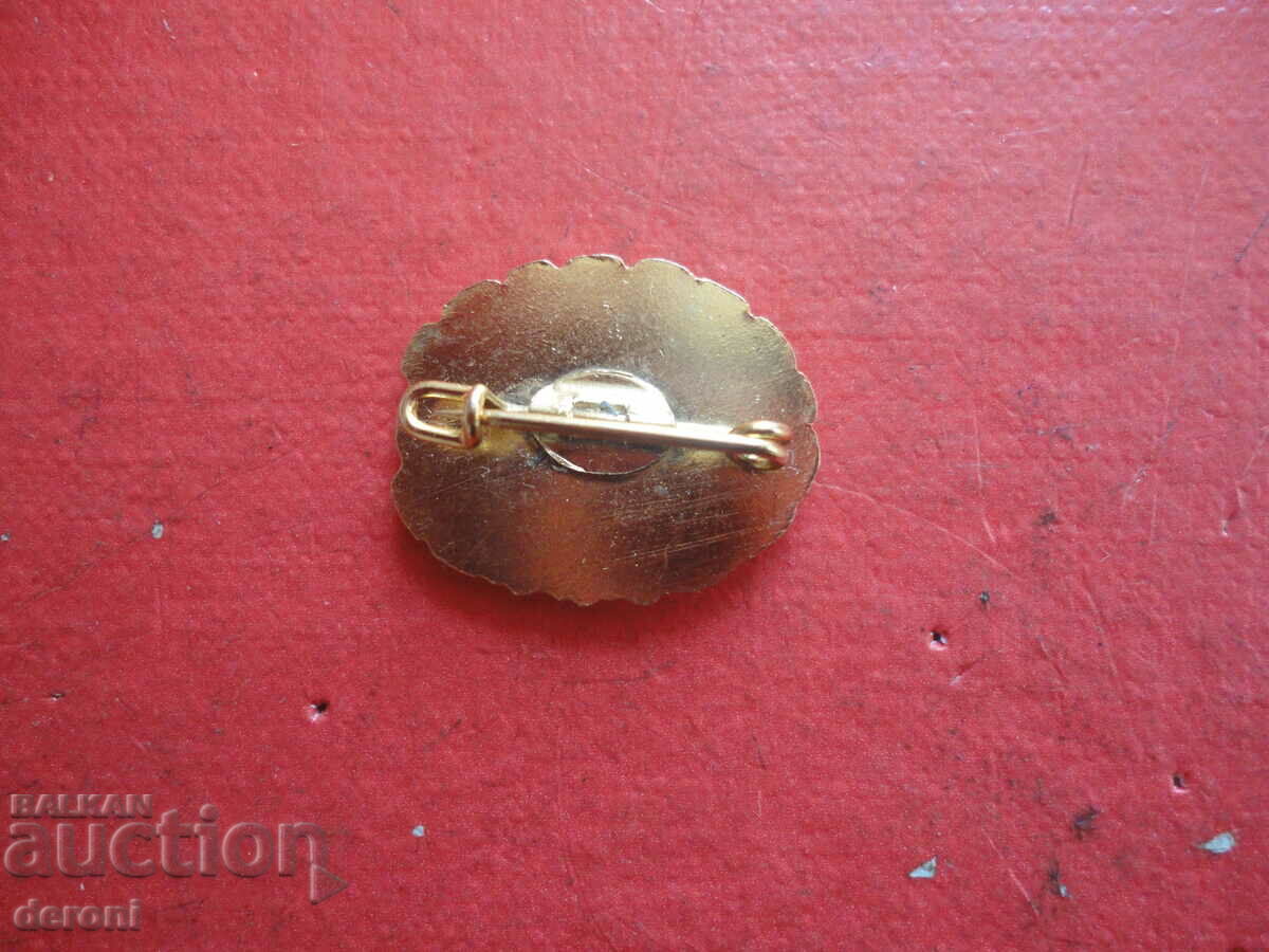 Delivery of German emblem sign badge 10 Delivery of German emblem sign badge 10