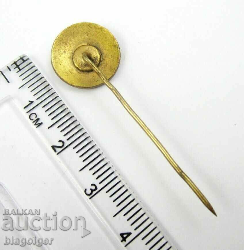 Auction  Old Football Badge - Fenerbahçe Turkey - Enamel