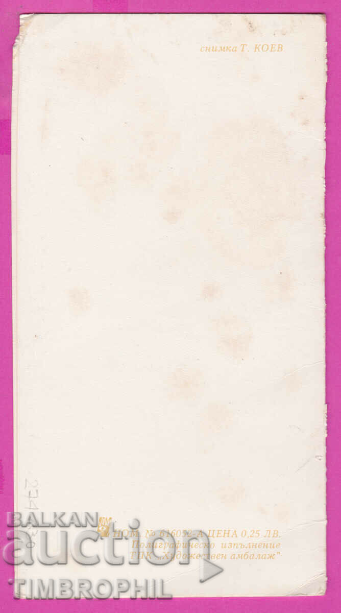 Аукцион 274430 / Честита Нова Година , ТПК "Художествен амбалаж" Аукцион 274430 / Честита Нова Година , ТПК "Художествен амбалаж"