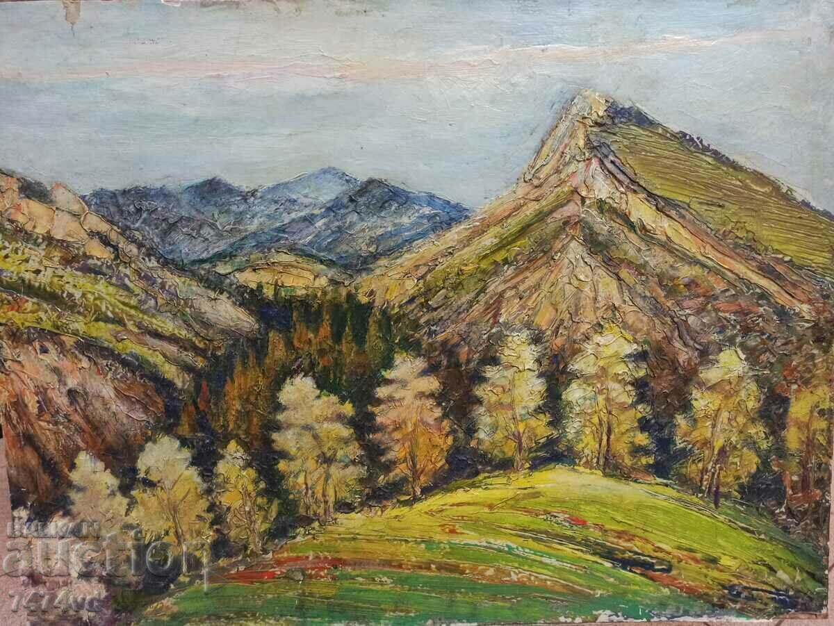 OLD PICTURE - CHOKANOV? with price 450.00 BGN | € 230.08 OLD PICTURE - CHOKANOV? with price 450.00 BGN | € 230.08