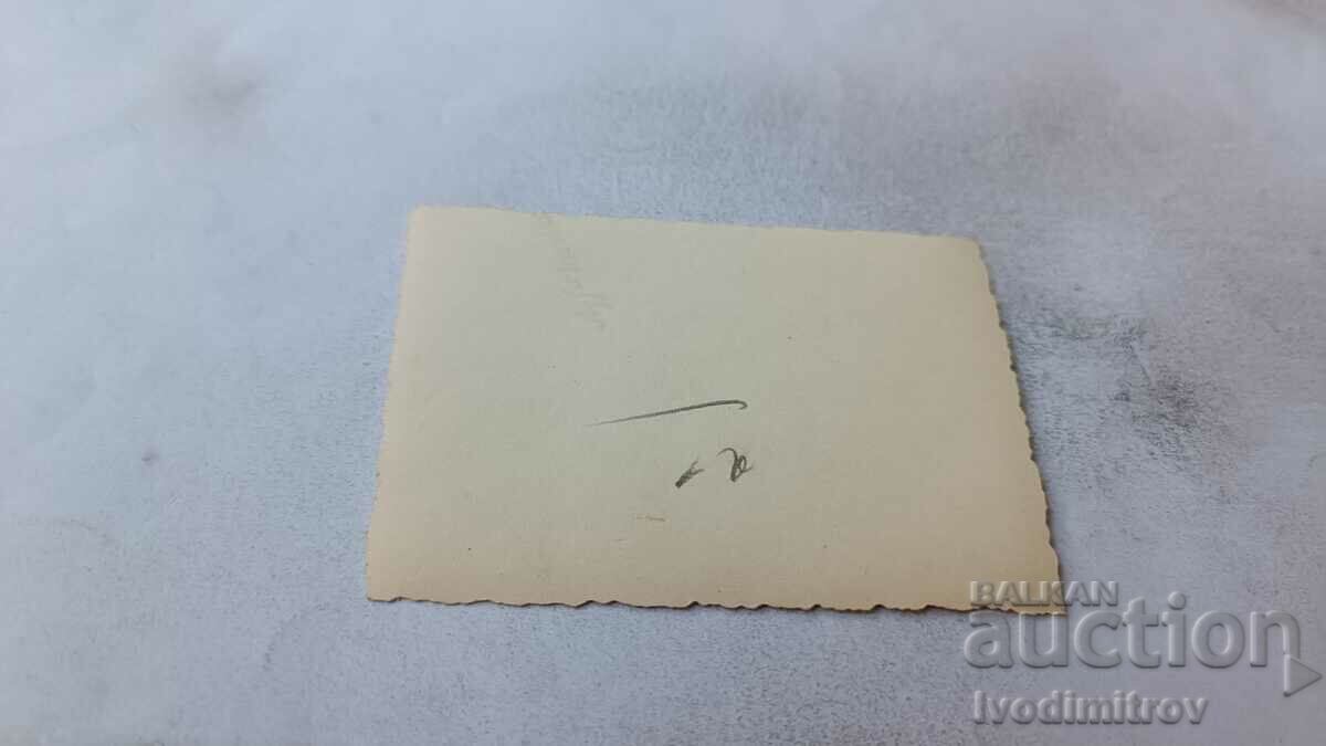 Picture Two young girls and two young men lying on the grass with price 1.35 BGN | € 0.69 Picture Two young girls and two young men lying on the grass with price 1.35 BGN | € 0.69