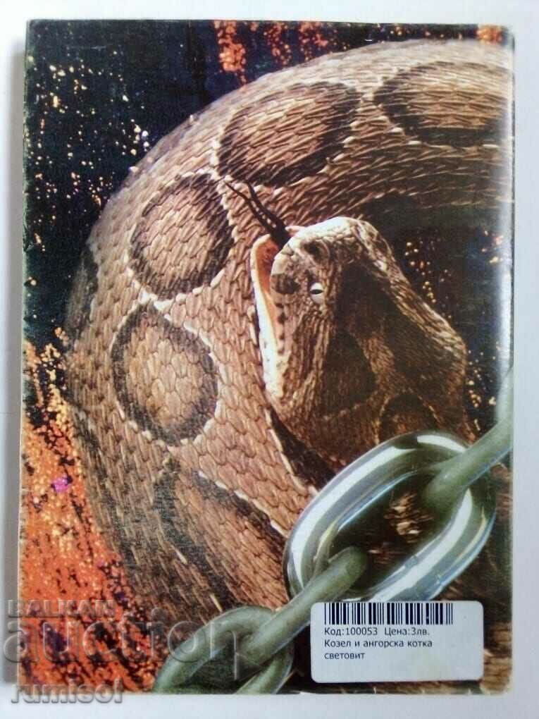 Goat and Angora cat - Hristo Kalchev with price 4.69 BGN | € 2.40 Goat and Angora cat - Hristo Kalchev with price 4.69 BGN | € 2.40