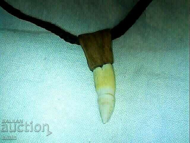 100% natural tooth of a very old animal