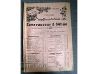 1907-1908 price list of vegetable fruits and vegetables