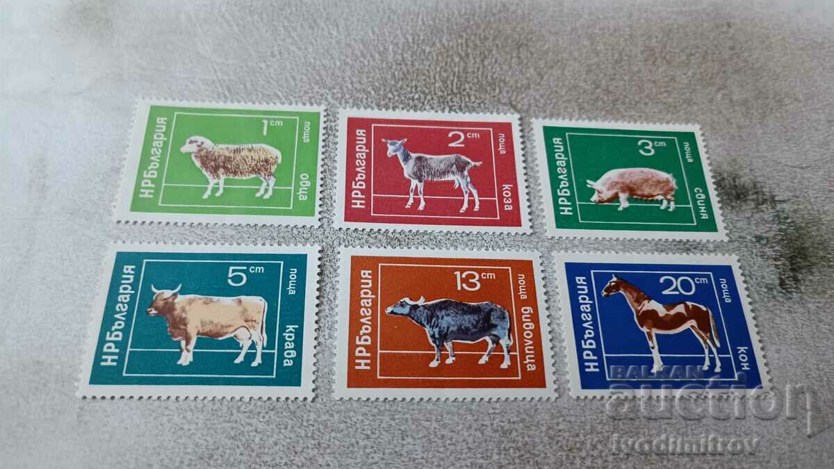 Γραμματόσημα NRB Οικόσιτα ζώα