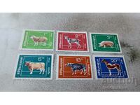 Postage stamps NRB Domestic animals