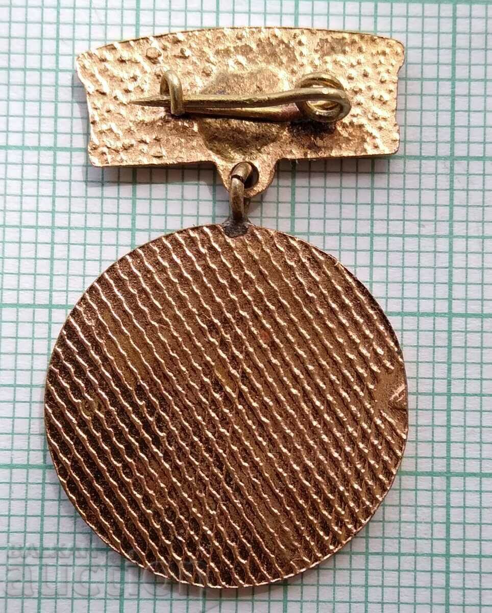 Δημοπρασία 13663 Σήμα - Εξαιρετικά εκτελεσμένο SM Rodina - χάλκινο σμάλτο