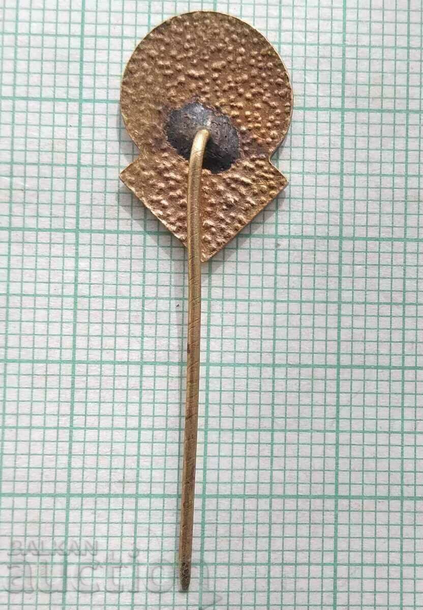 Auction 13672 Badge - Sports Complex Diana - bronze enamel Auction 13672 Badge - Sports Complex Diana - bronze enamel