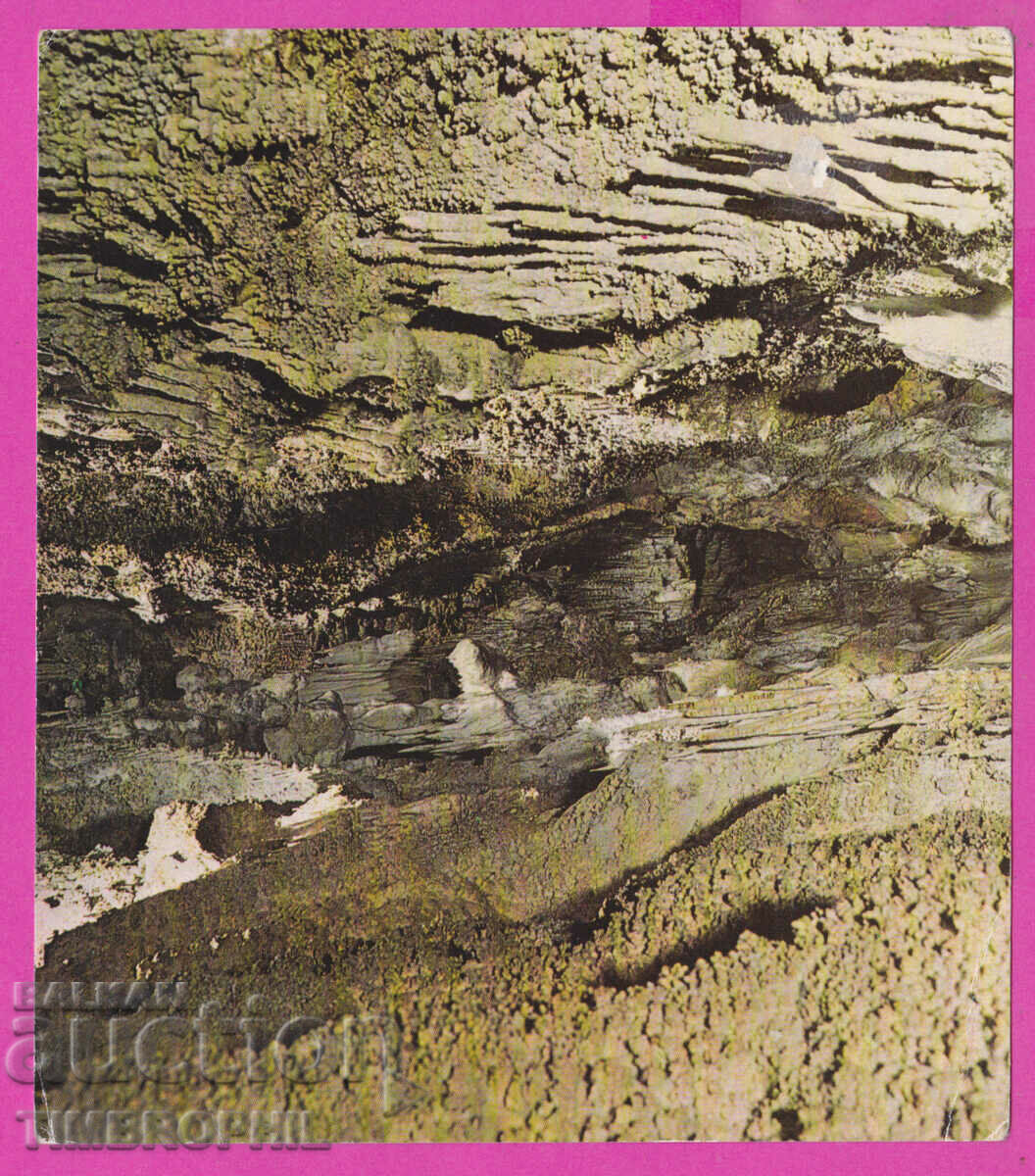 274560 / Пещера Ухловица - между Смолян и село Могилица