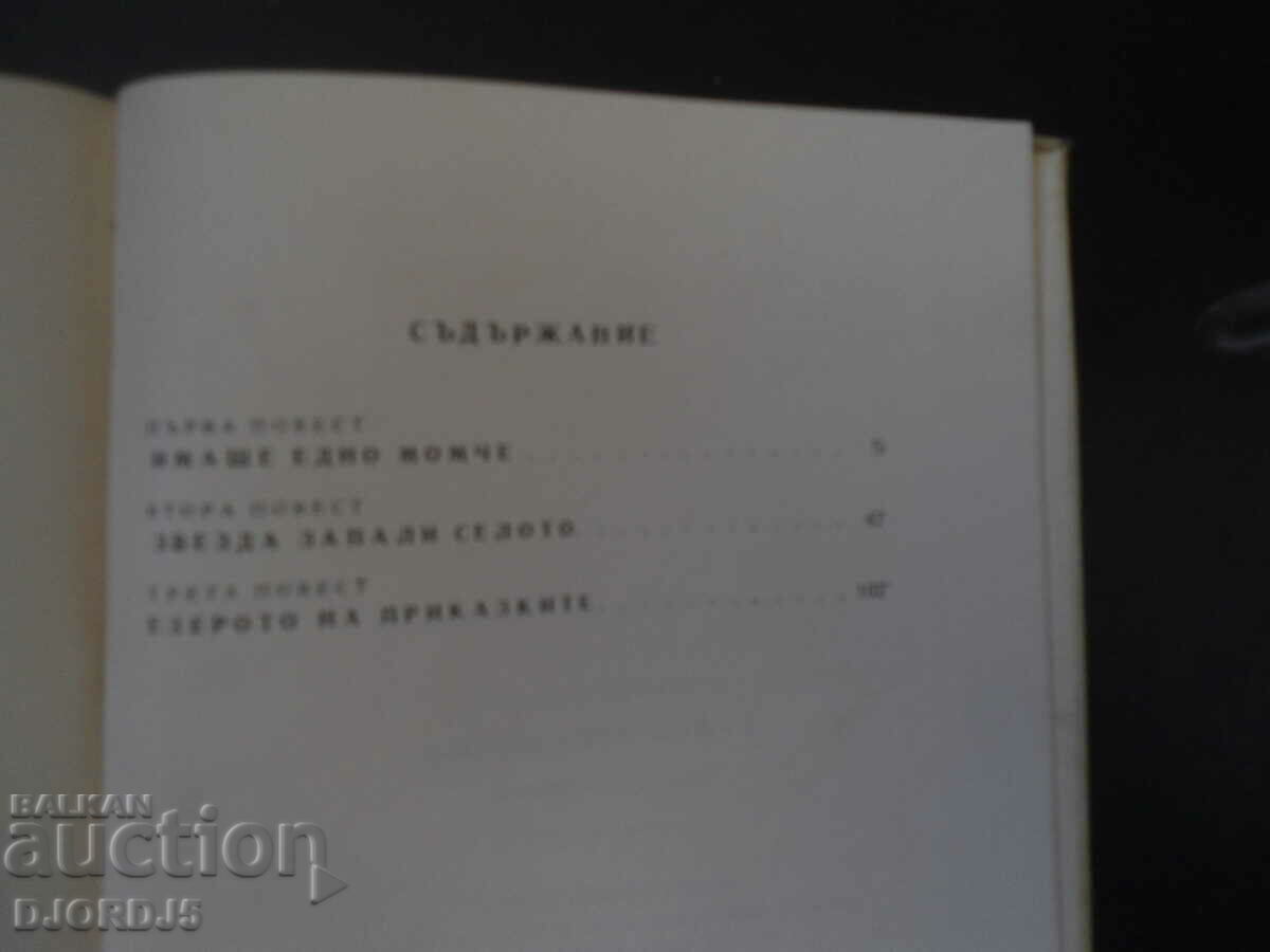 Auction  There was a boy, Anastas Stoyanov