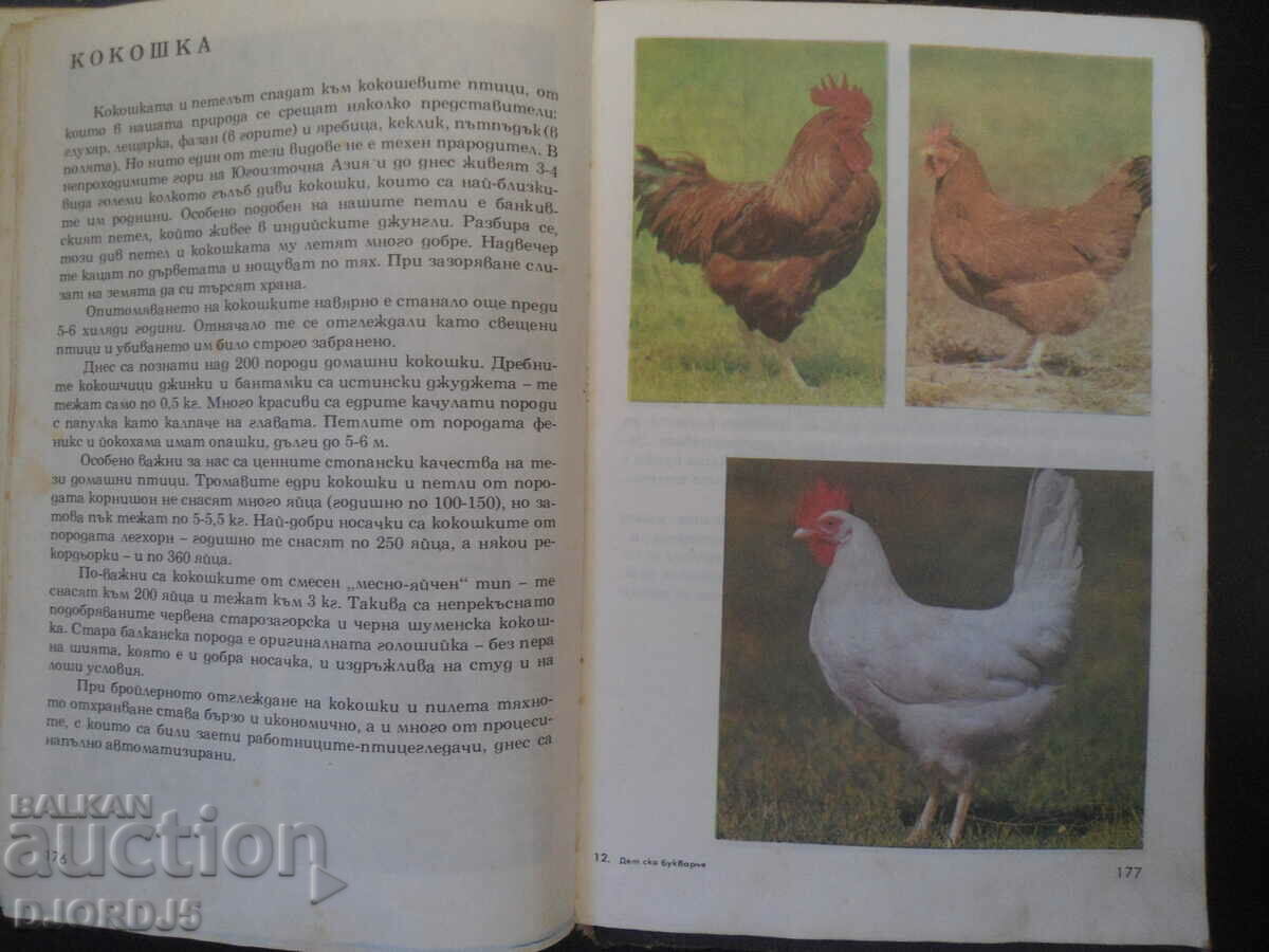 Delivery of Children's copy for plants and animals Delivery of Children's copy for plants and animals