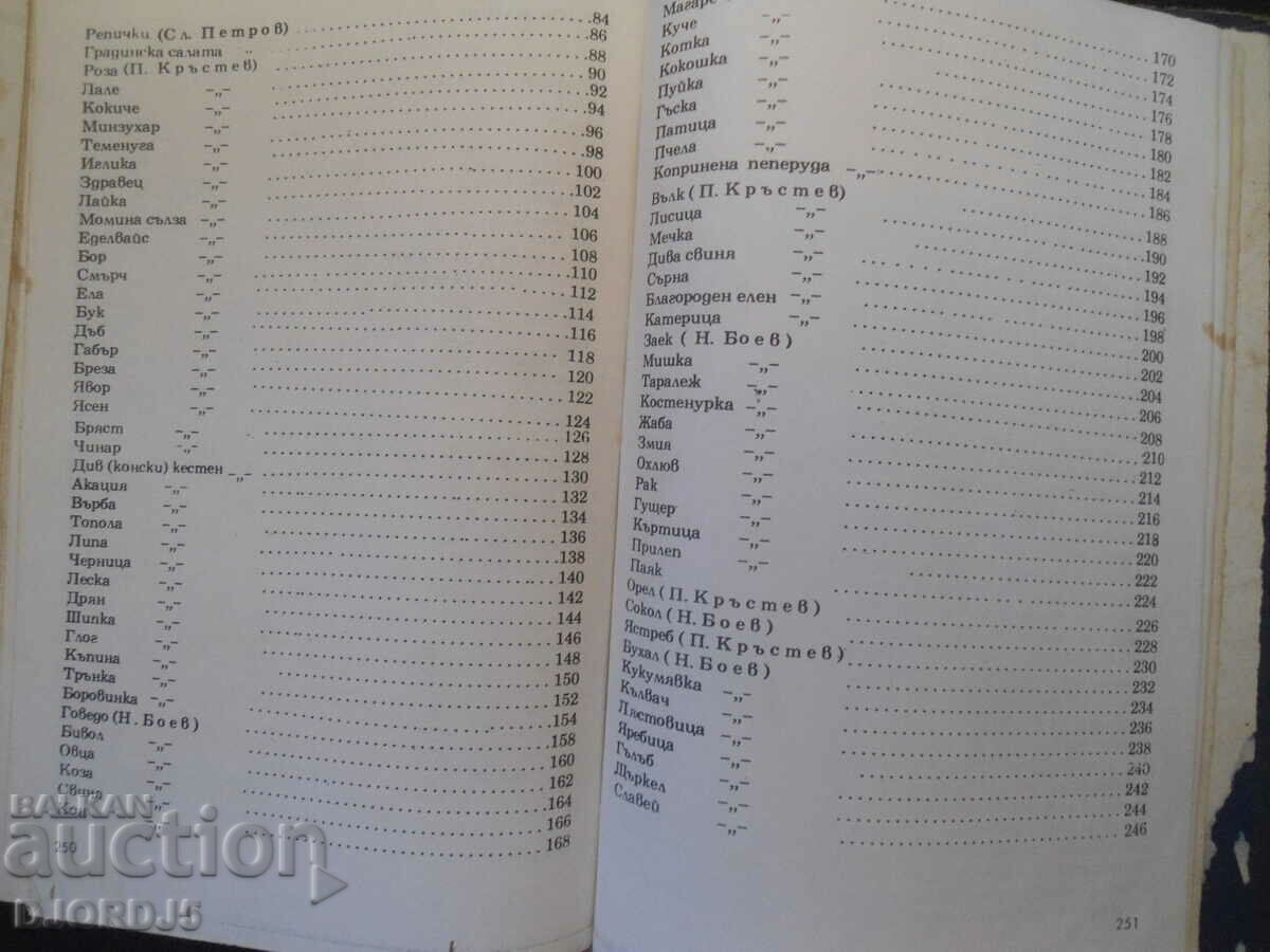 Children's copy for plants and animals - 6 Children's copy for plants and animals - 6