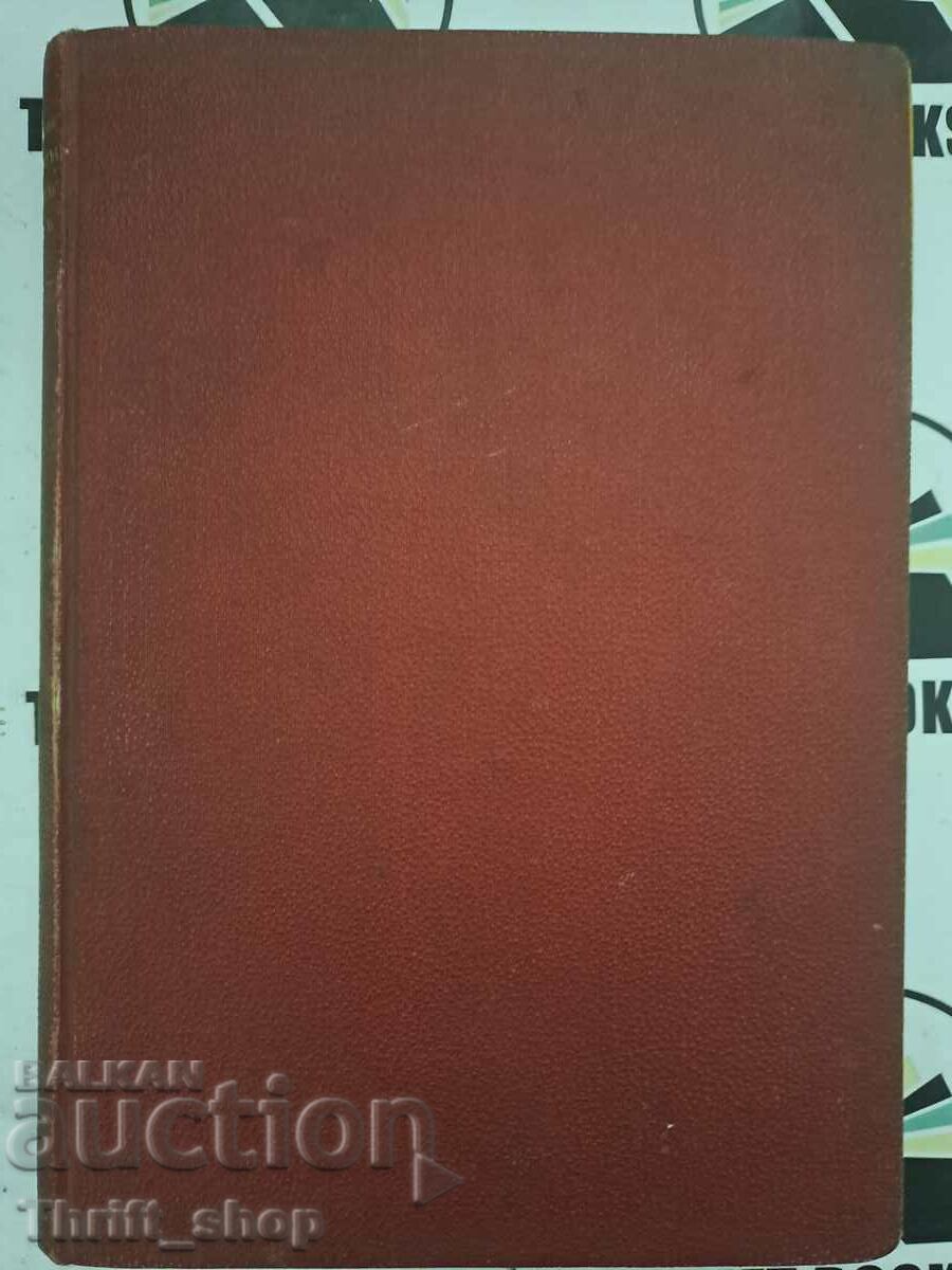 The sin of charity Anna Kamenova 1930 First edition! - 5 The sin of charity Anna Kamenova 1930 First edition! - 5