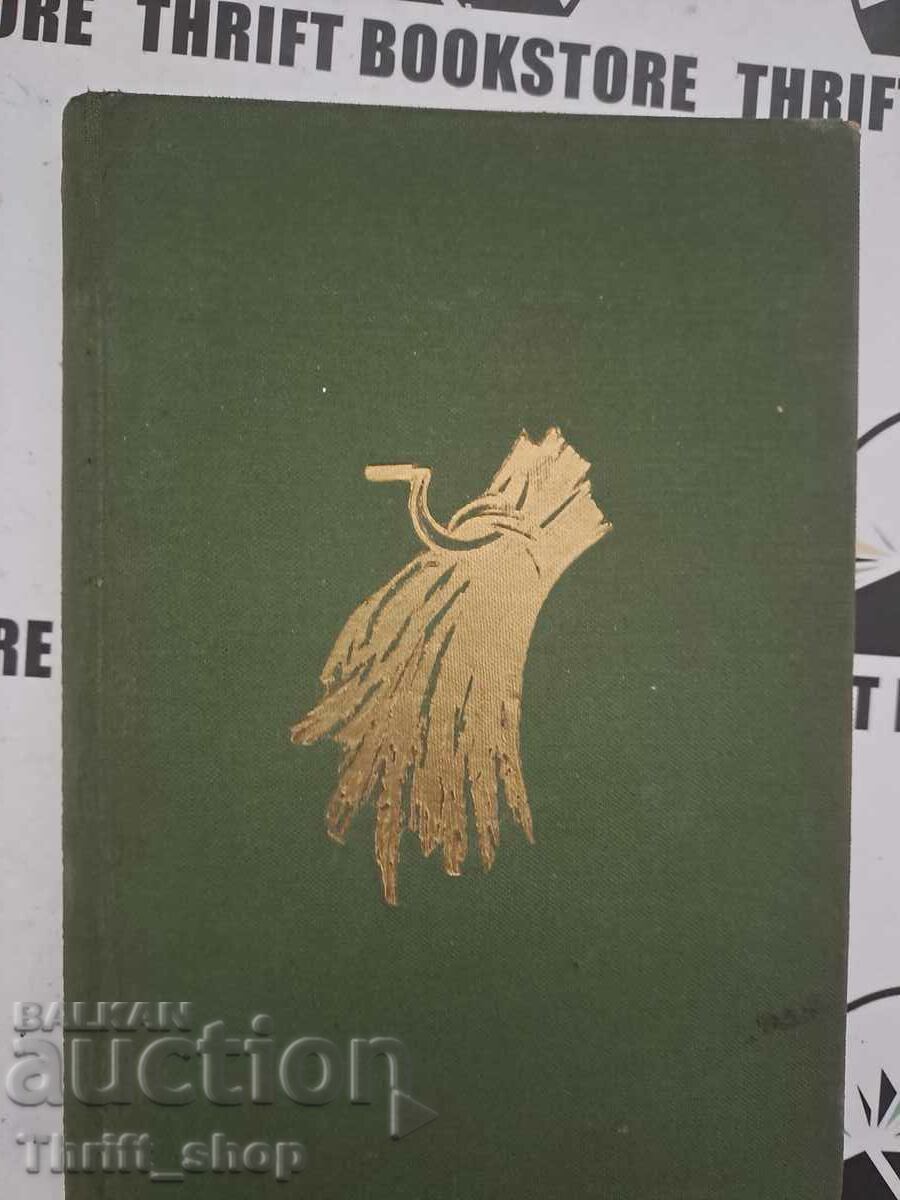 Rosen stone bridge Angel Karaliychev with price 7.50 BGN | € 3.83 Rosen stone bridge Angel Karaliychev with price 7.50 BGN | € 3.83