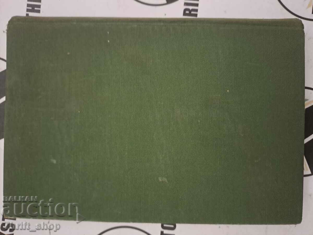 Rosen stone bridge Angel Karaliychev - 5 Rosen stone bridge Angel Karaliychev - 5