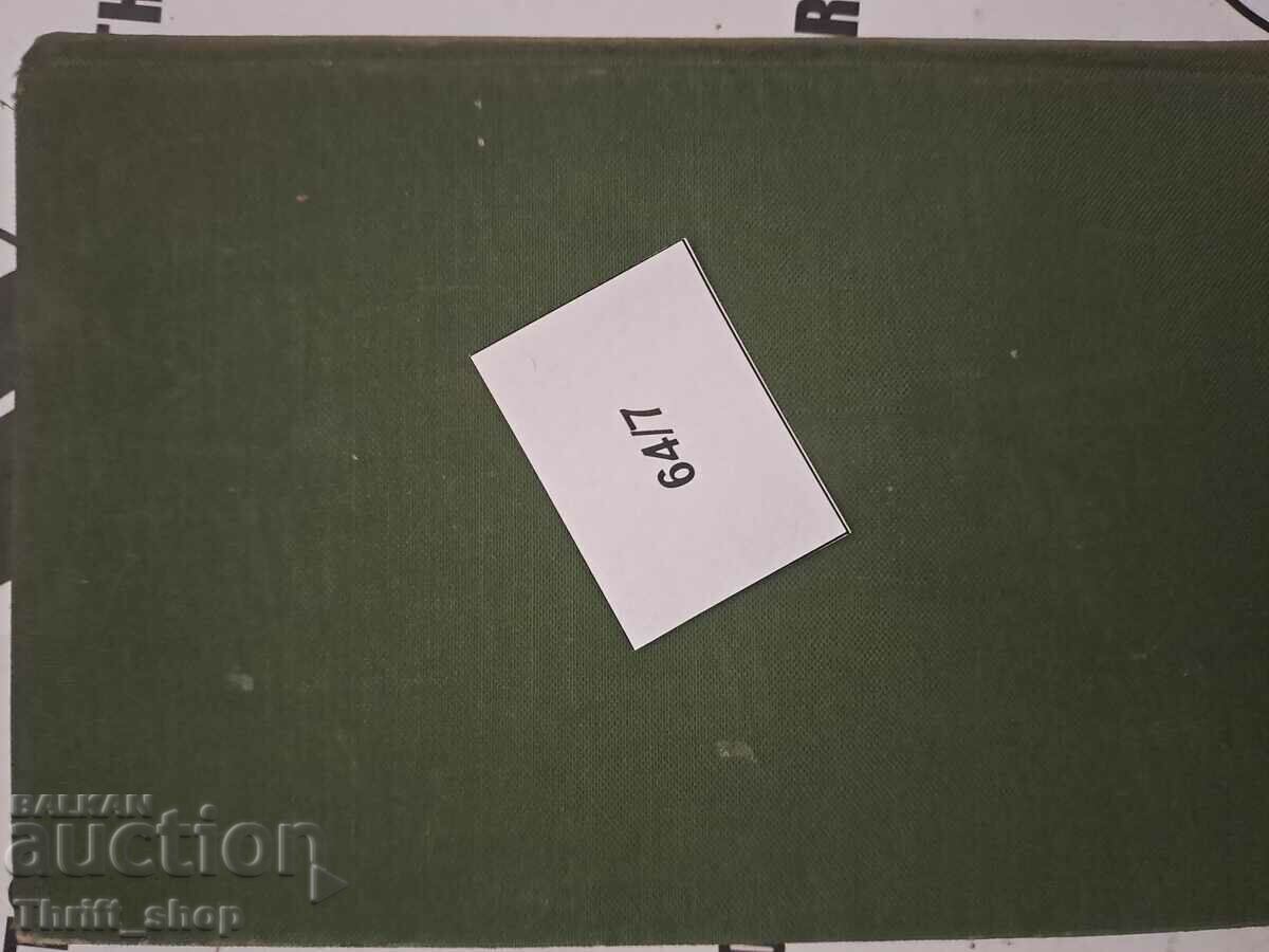 Rosen stone bridge Angel Karaliychev - 6 Rosen stone bridge Angel Karaliychev - 6