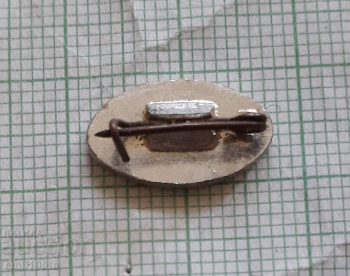 Delivery of Badge - Peace of the USSR Delivery of Badge - Peace of the USSR