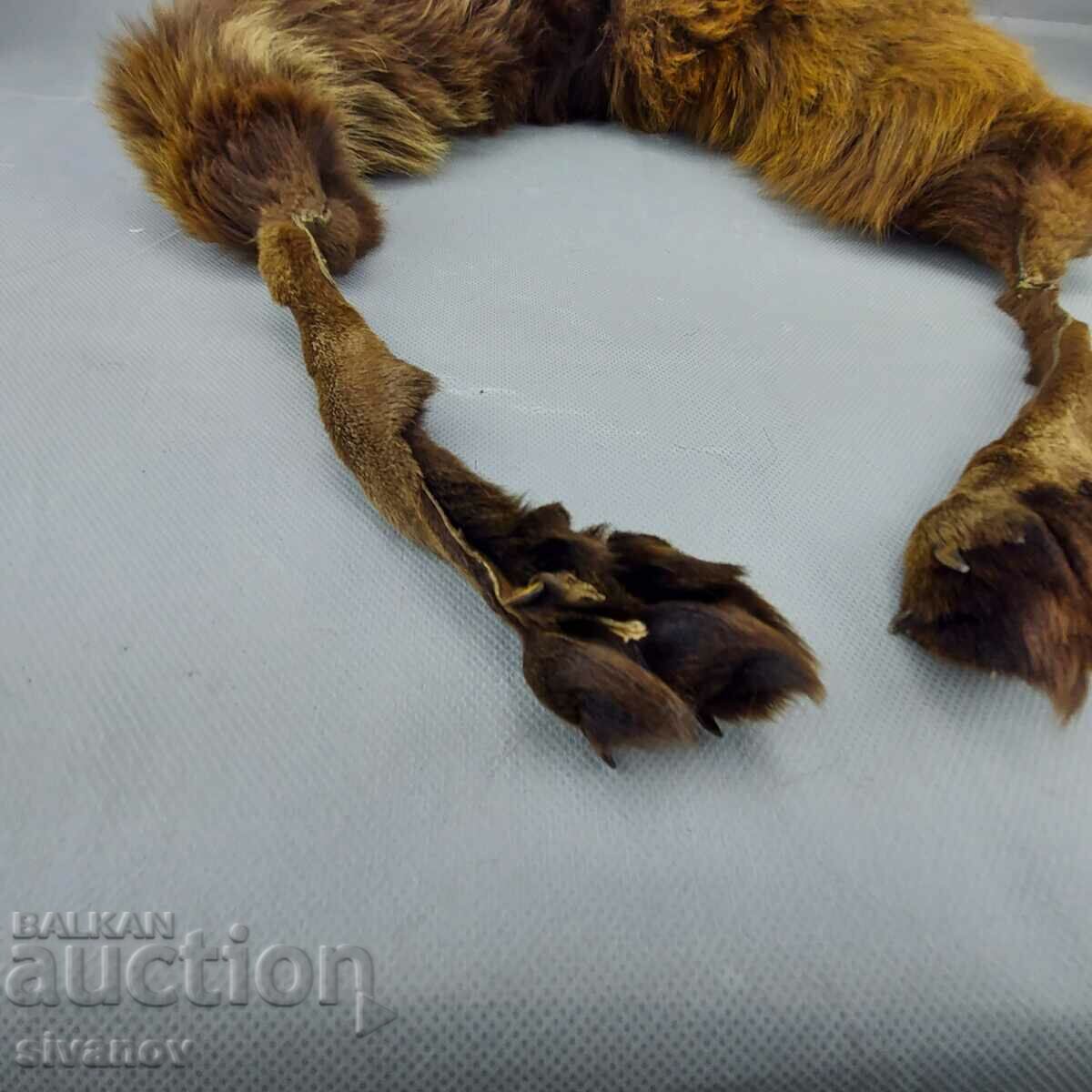 Old fox fur leather collar #0287 with price 20.00 BGN | € 10.23 Old fox fur leather collar #0287 with price 20.00 BGN | € 10.23