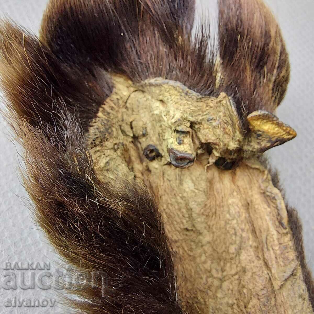 Old fox fur leather collar #0287 - 5 Old fox fur leather collar #0287 - 5