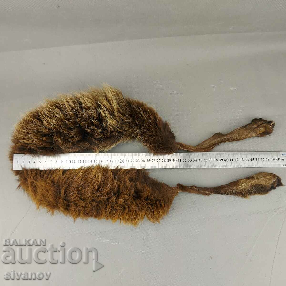 Old fox fur leather collar #0287 - 7 Old fox fur leather collar #0287 - 7