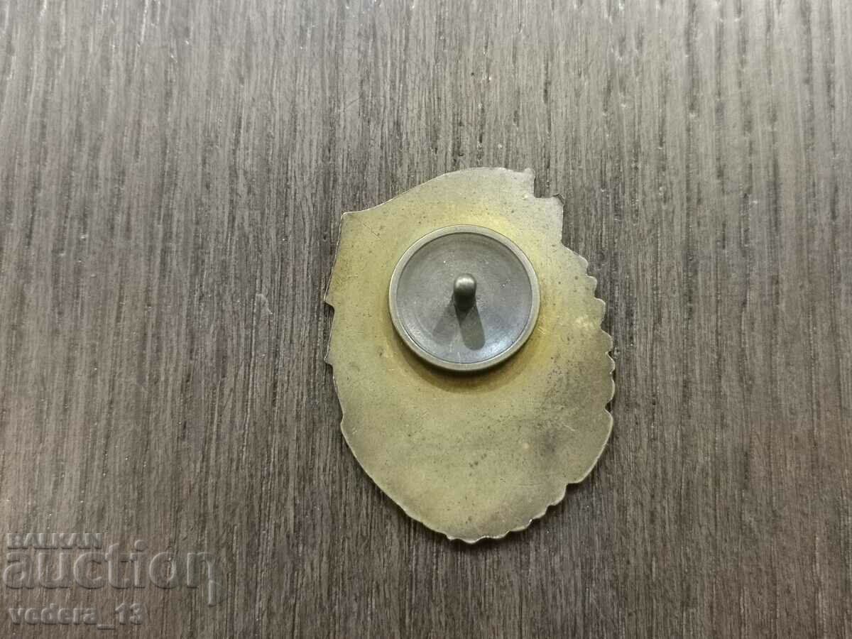 Auction BIG BADGE Auction BIG BADGE