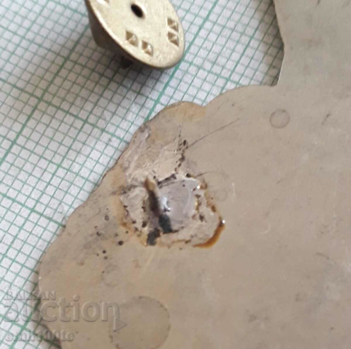 Sign - Cockard Customs - 7 Sign - Cockard Customs - 7