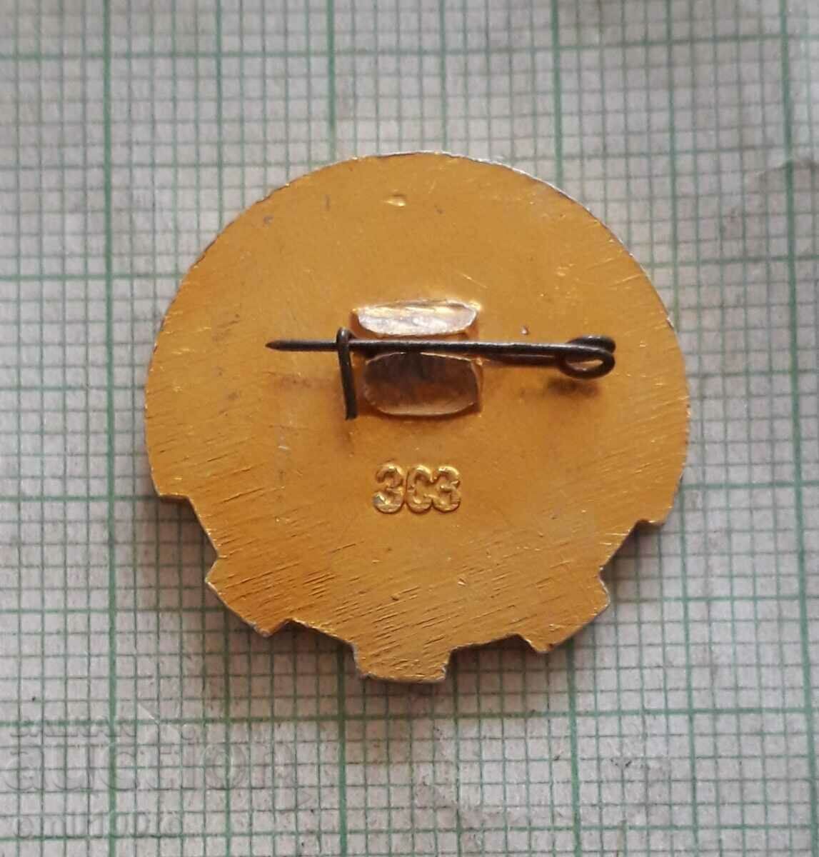 Delivery of Badge - Desna USSR Sports Club Delivery of Badge - Desna USSR Sports Club