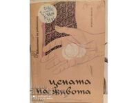 Το τίμημα της ζωής, Αραβικά μυθιστορήματα, εικονογραφήσεις