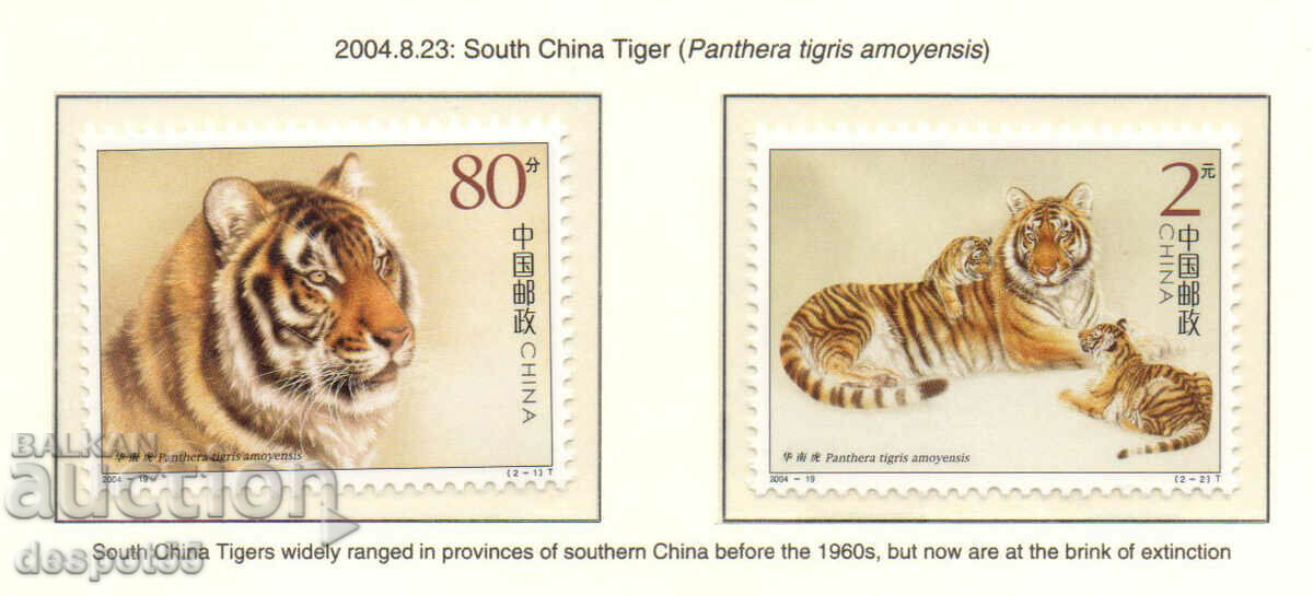 2004. China. South China tiger.