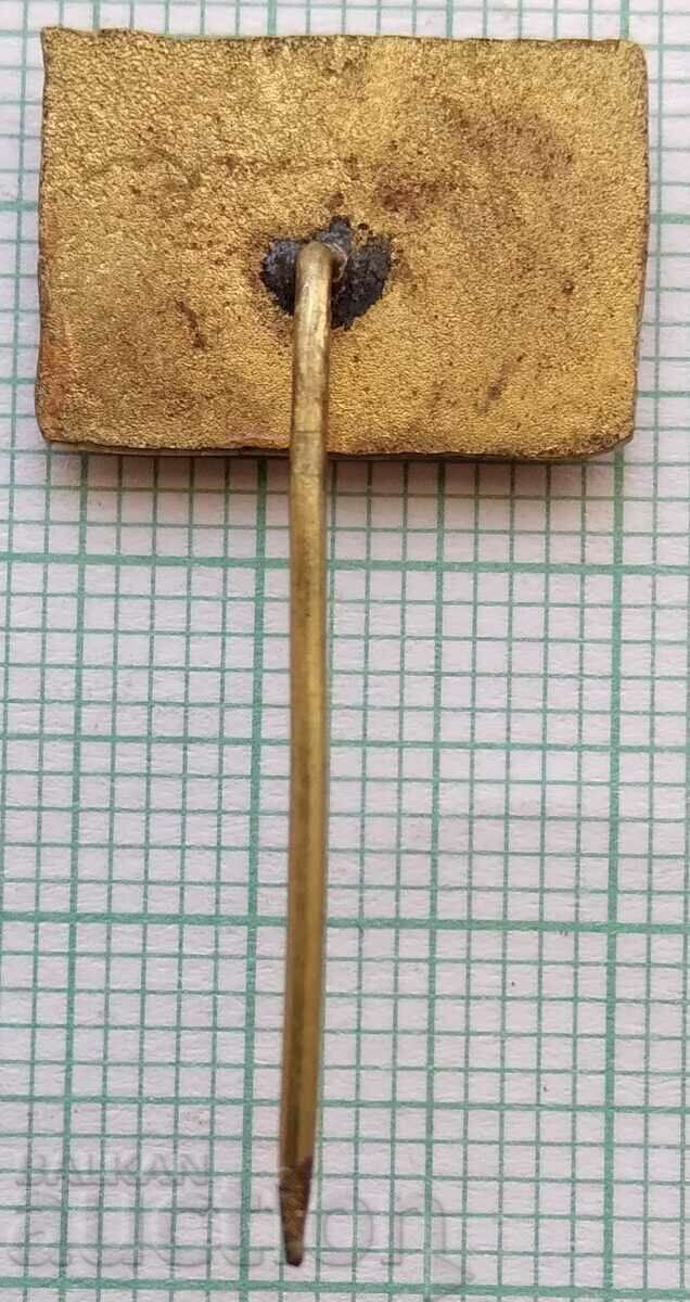 Auction  13699 Badge - flag flag Turkey