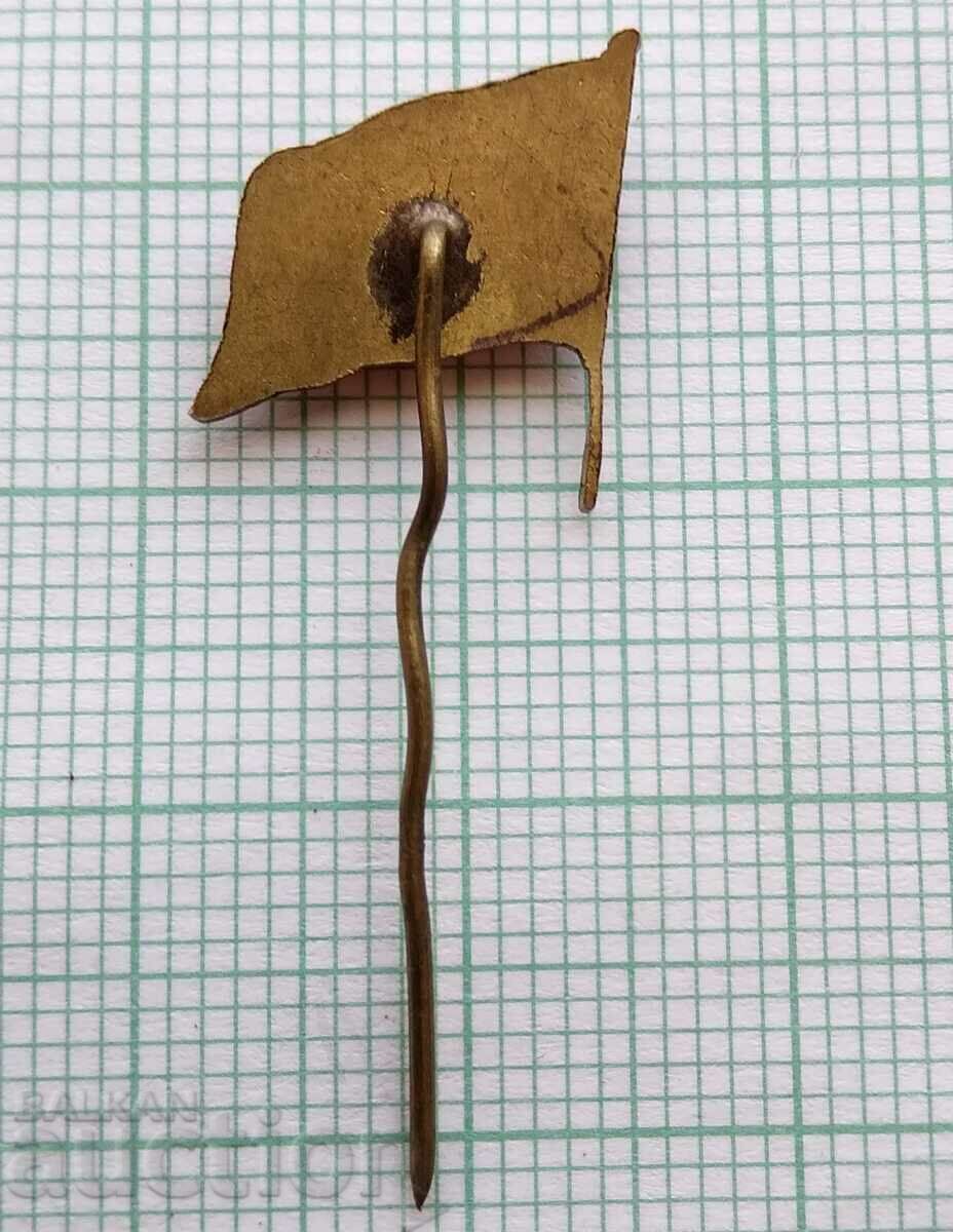 Auction 13700 Badge - flag flag Turkey Auction 13700 Badge - flag flag Turkey