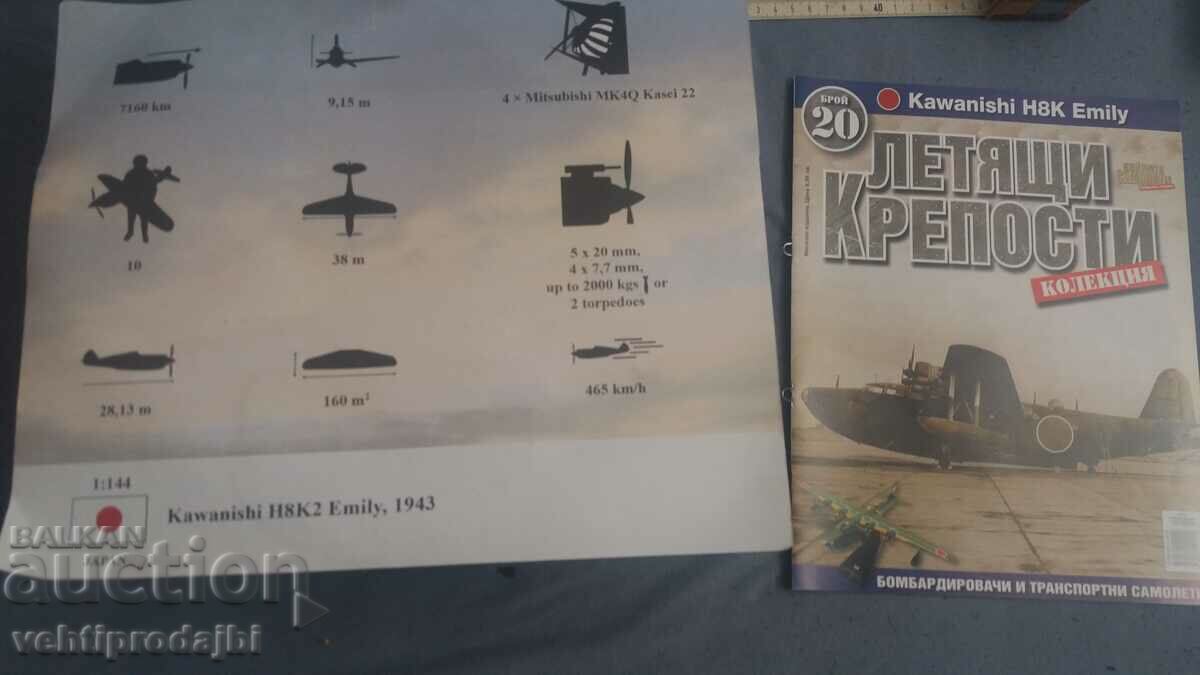 Auction  Airplane model