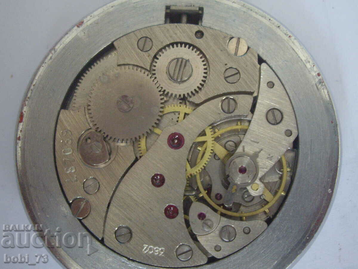 Pocket Mole - 5 Pocket Mole - 5