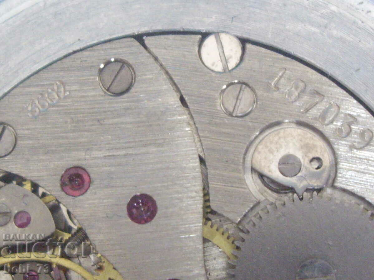 Pocket Mole - 6 Pocket Mole - 6