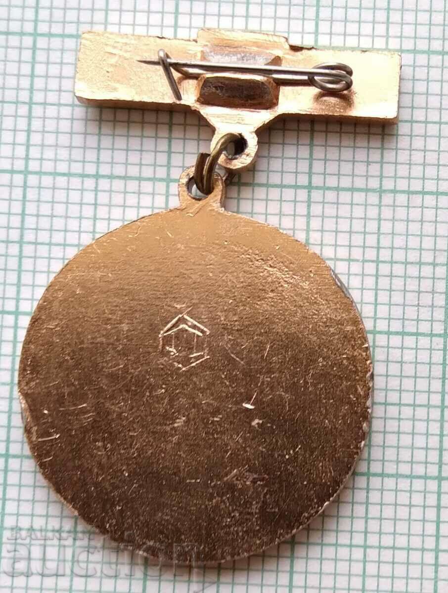 Auction 13756 Badge - USSR Donor 3rd degree - Red Cross Auction 13756 Badge - USSR Donor 3rd degree - Red Cross